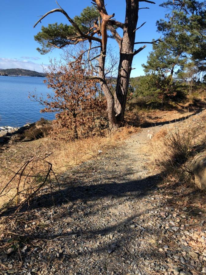 Sjonaer Idyll Daire Kristiansand Dış mekan fotoğraf