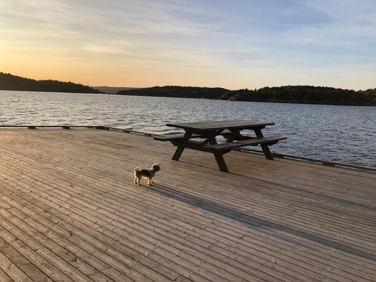 Sjonaer Idyll Daire Kristiansand Dış mekan fotoğraf